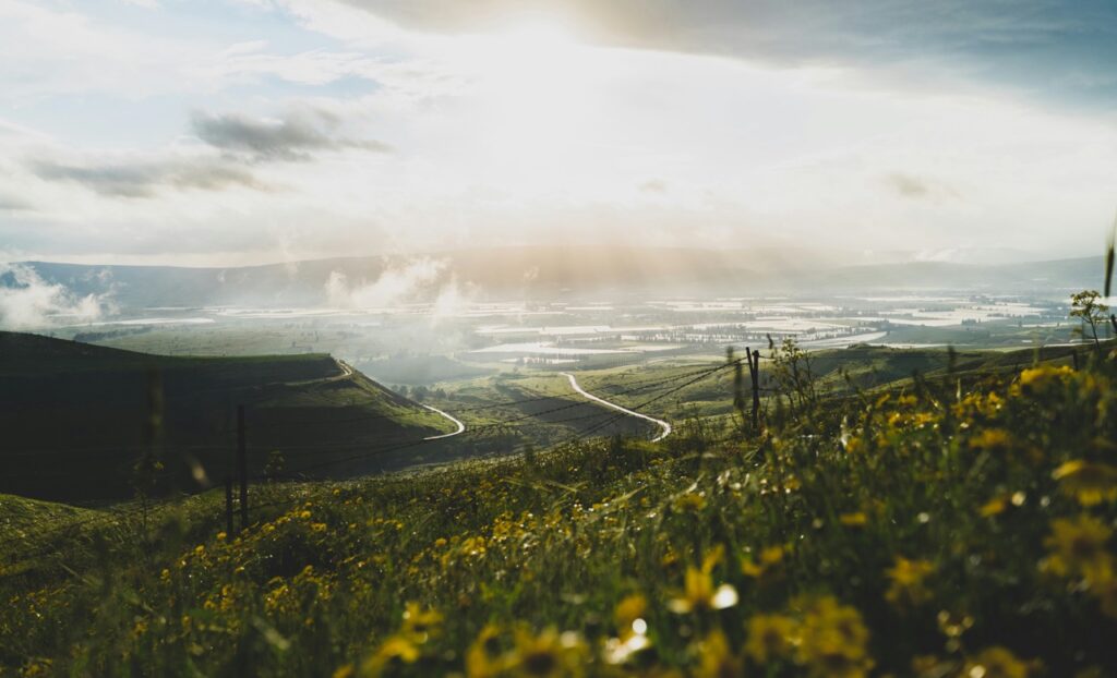 A Field in the Golan Heights